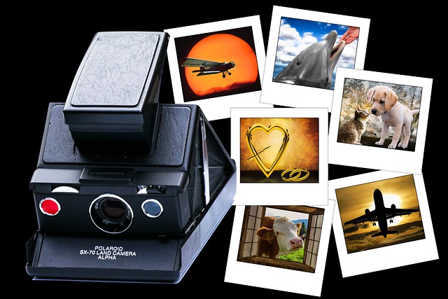 ¿Cuánto cuesta una cámara de fotos instantánea?
